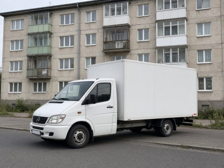 Как выбрать надежную компанию для грузоперевозок в гомеле